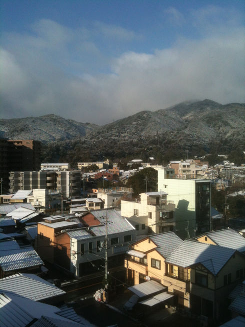 京都屋の裏山